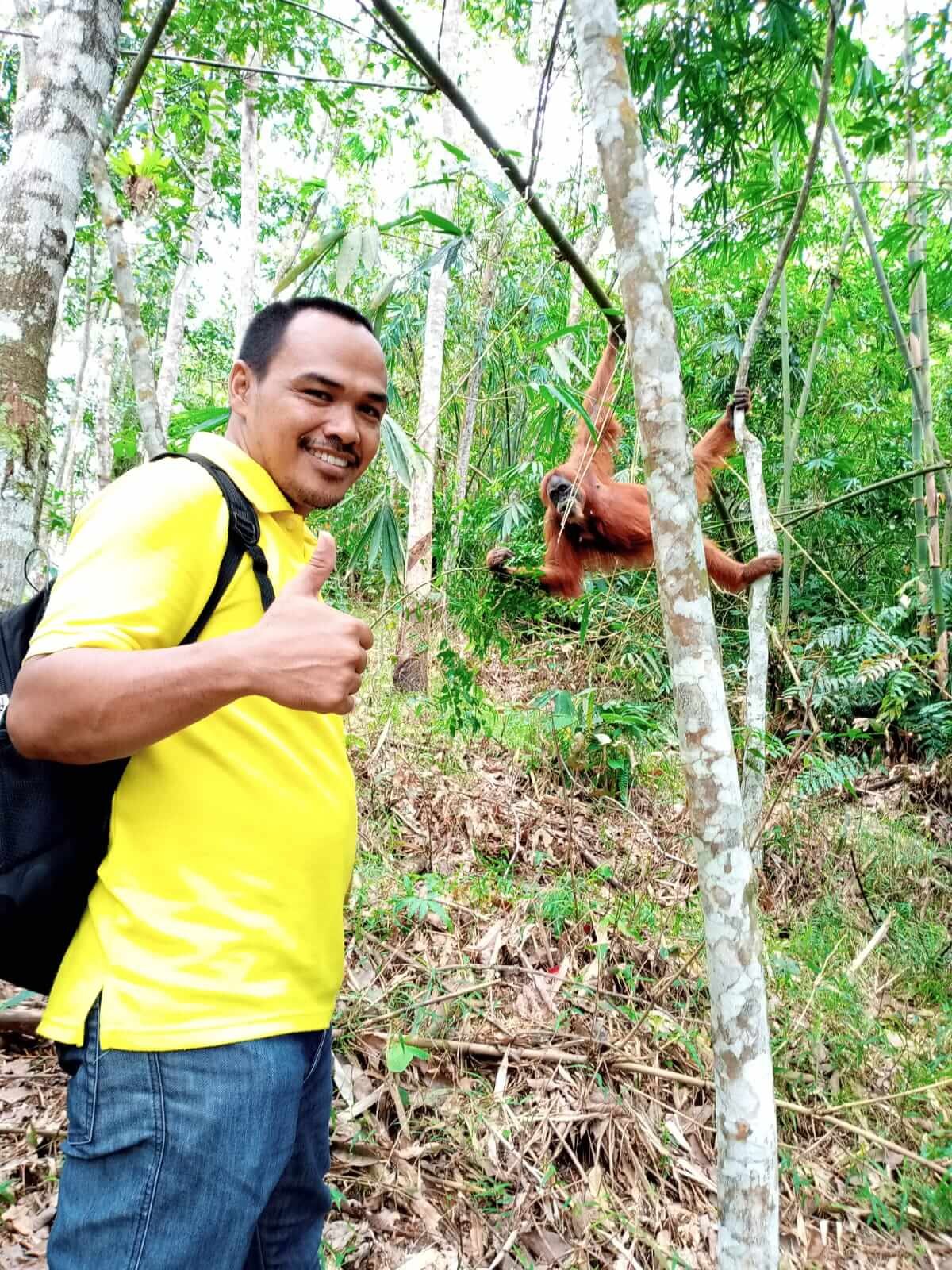 Bukit Lawang