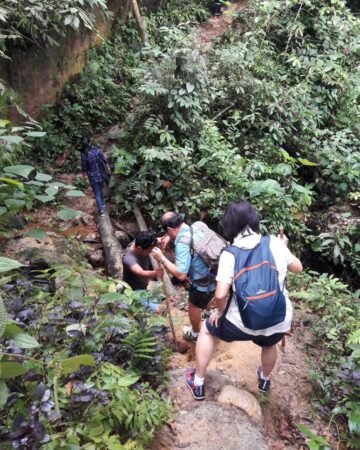 Bukit Lawang Trekking