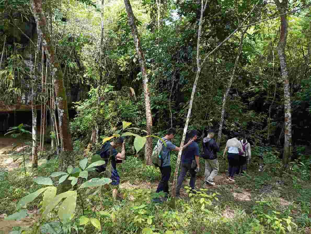Jungle Trekking